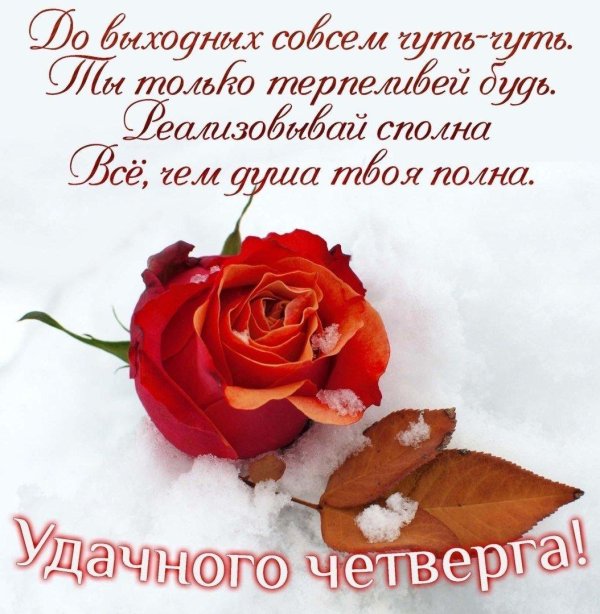 пожелание хорошего четверга