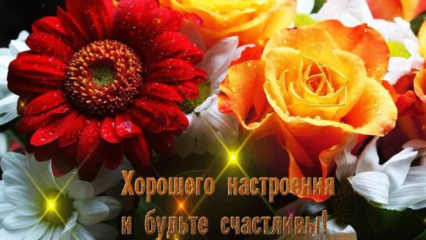 цветы для хорошего настроения
