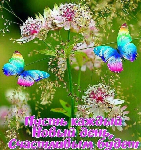 чудесного лета