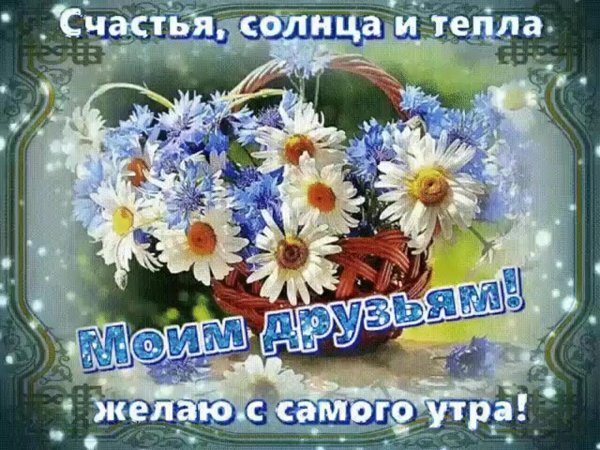 доброе утро васильки и ромашки