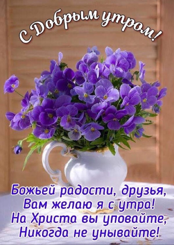 марианна локшина цветы