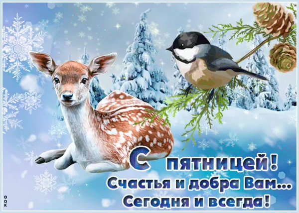 доброго зимнего утра пятницы