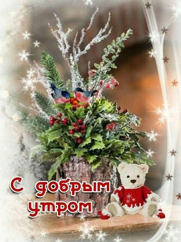 доброе утро зимний букет