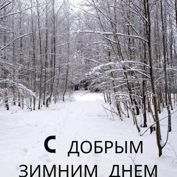 доброго зимнего денечка