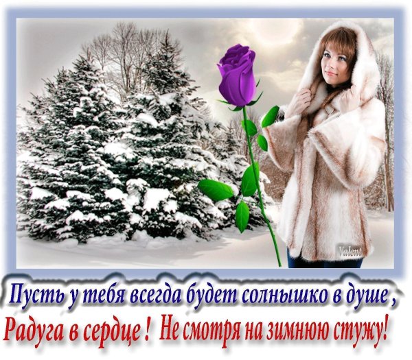 пусть душа не знает холода