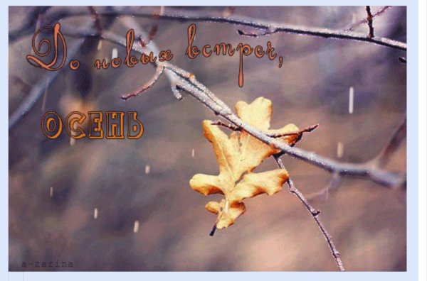 листок оторвался от ветки