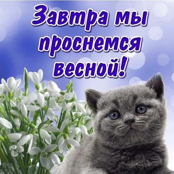 завтра мы проснемся весной