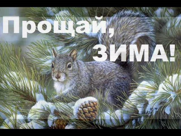 животные в зимнем лесу