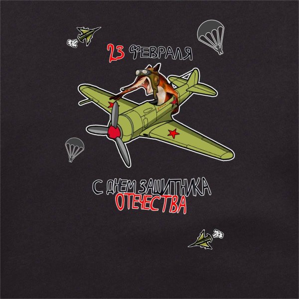 самолет 23 февраля