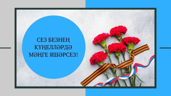 ватанны саклаучылар елы