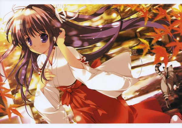 На 23 февраля аниме