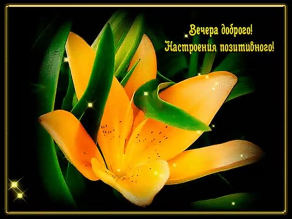 открытка вечер добрый