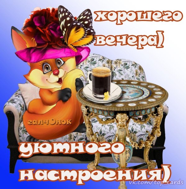 доброго вечерочка прикольные