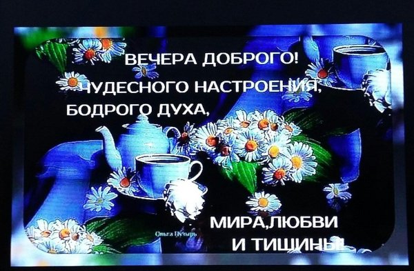 вечера доброго