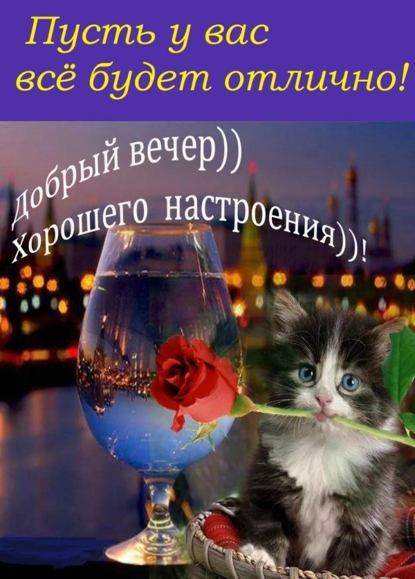 отличного вечера