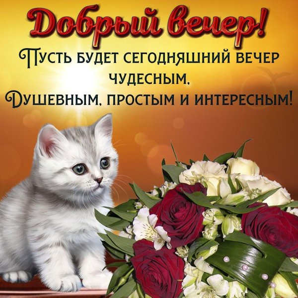 доброго вечера открытка