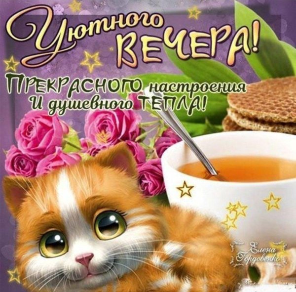 открытки добрый вечер прикольные