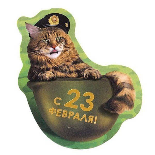 С 23 февраля с животными