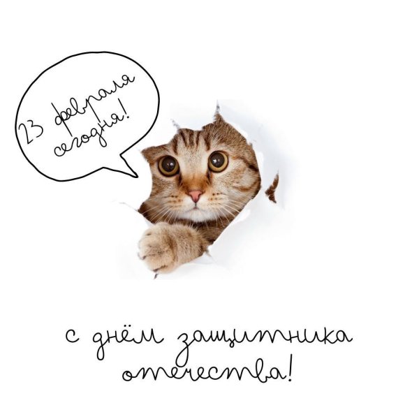 С 23 февраля с животными