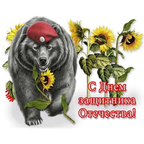 С 23 февраля с животными