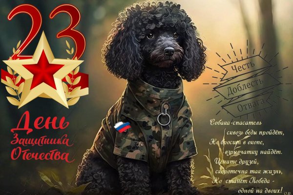 С 23 февраля с животными