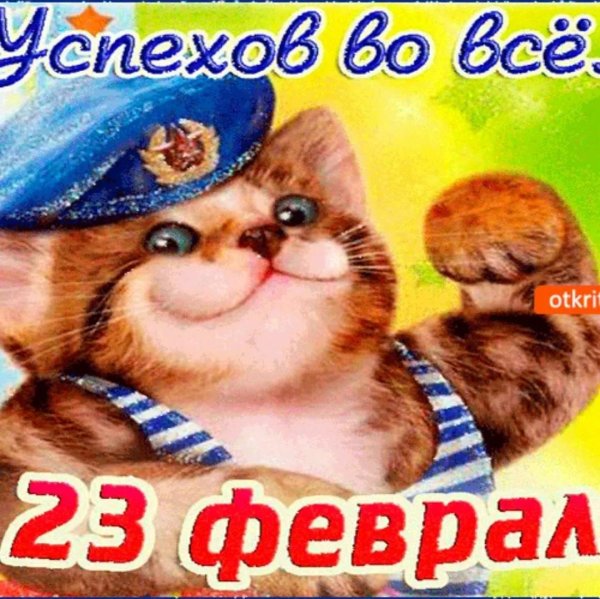 С 23 февраля с животными