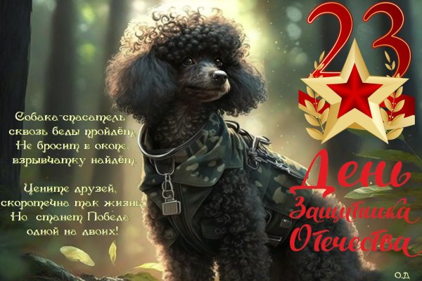 С 23 февраля с животными