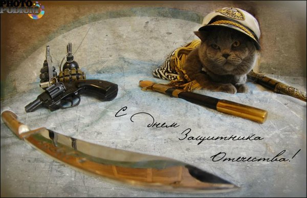 С 23 февраля с животными