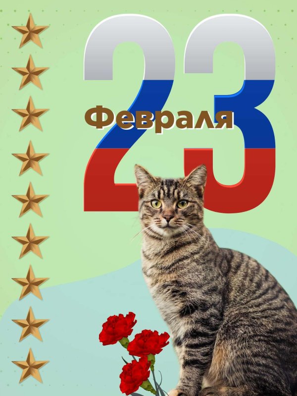 С 23 февраля с животными