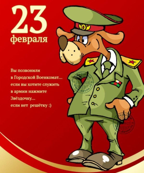 С 23 февраля с животными