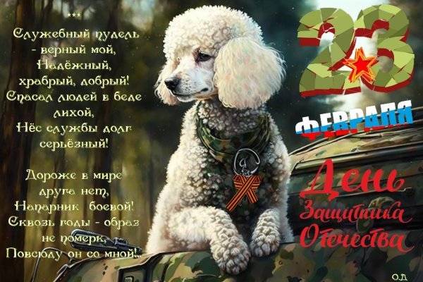 С 23 февраля с животными