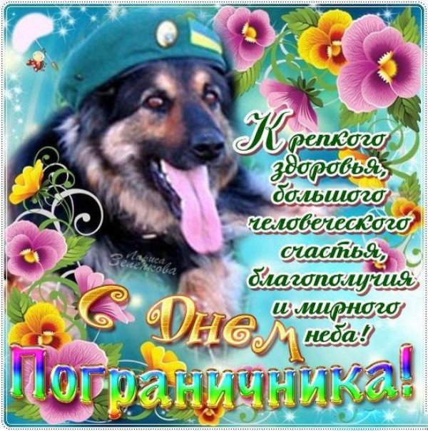 С 23 февраля пограничники