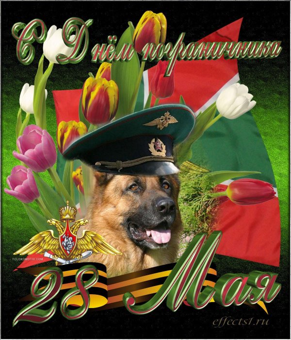 С 23 февраля пограничники