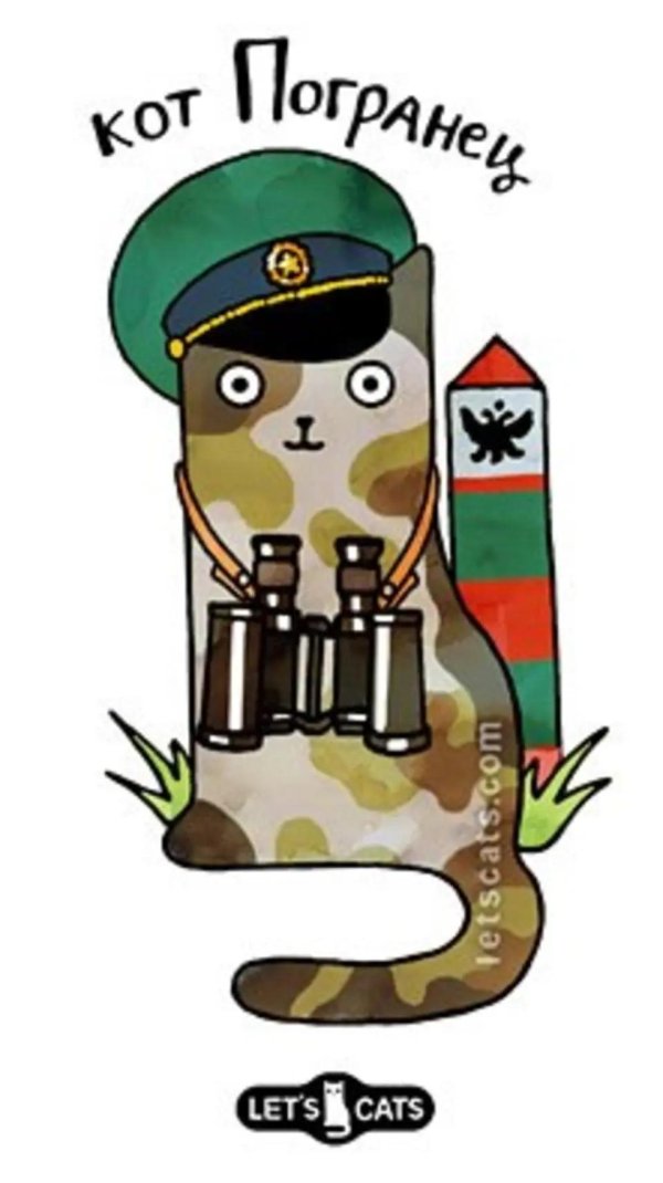 С 23 февраля пограничники