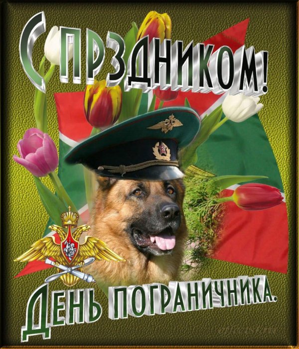 С 23 февраля пограничники