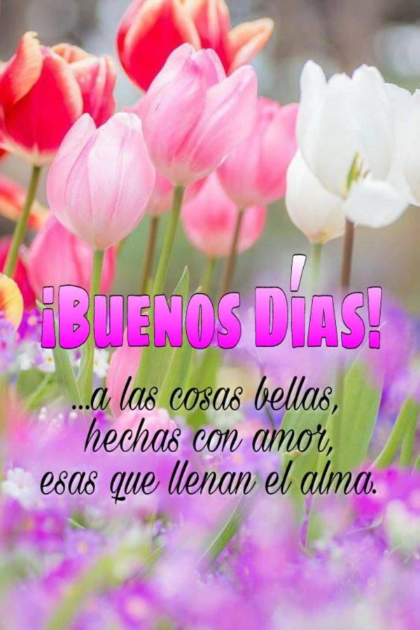 buenos días saludos