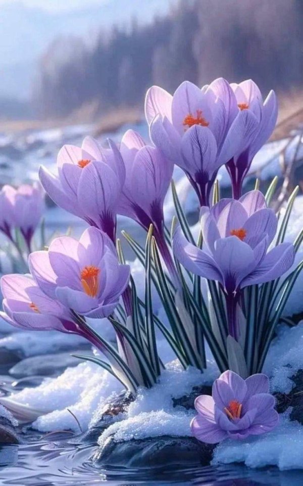 хорошей весны