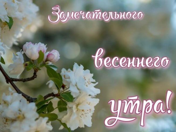 с добрым весеннем утром