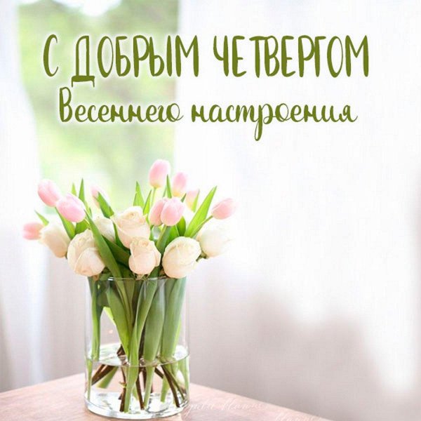 открытки доброе весеннее утречко