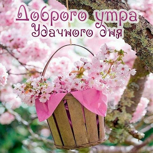 доброе весеннее утро понедельника