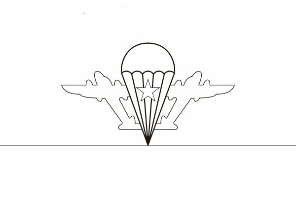 К 23 февраля вдв