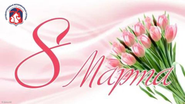 23 февраля 8 марта