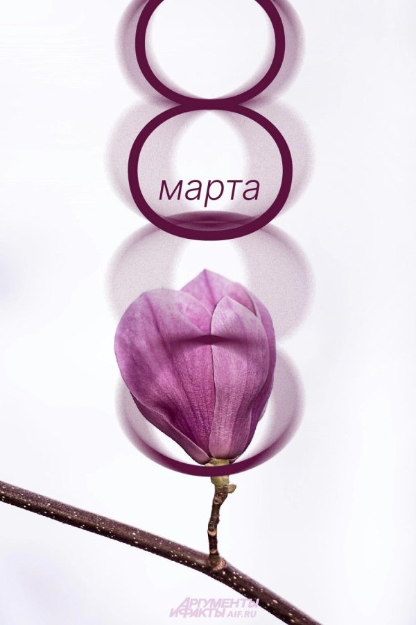 23 февраля 8 марта