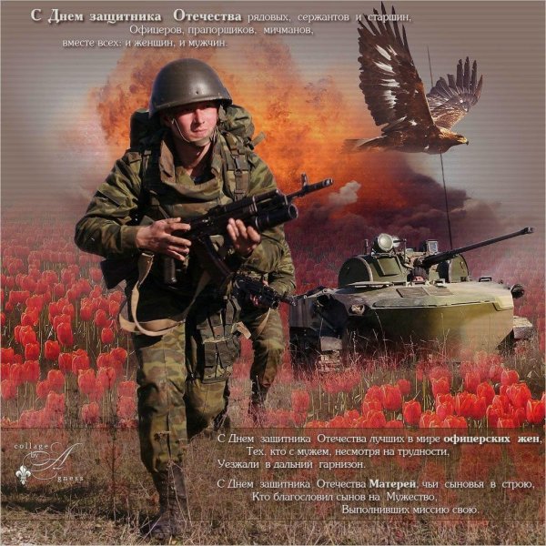 К 23 февраля для десантника