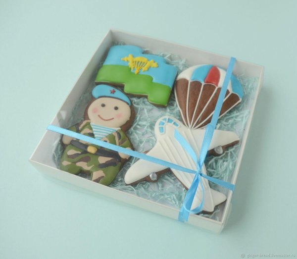 К 23 февраля для десантника