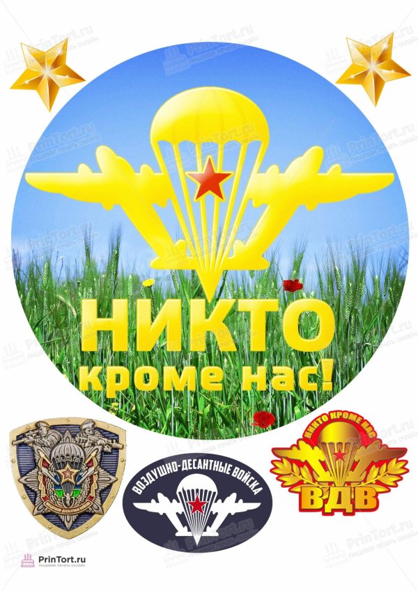 К 23 февраля для десантника