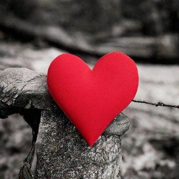 красное сердце