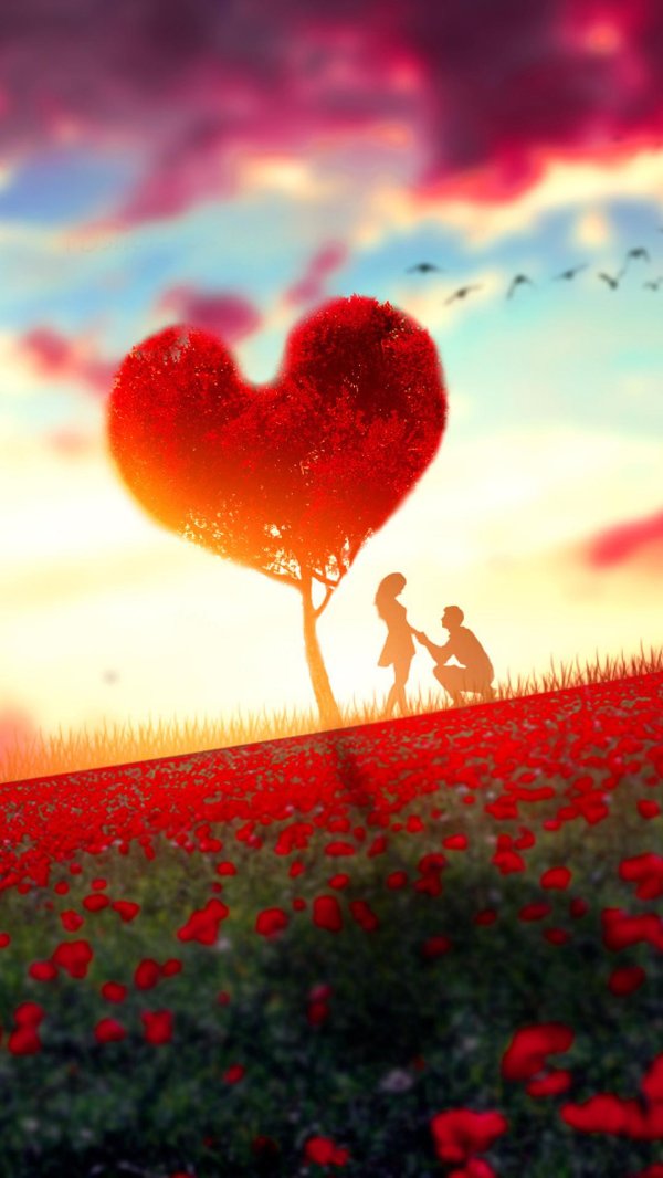 сердце наполненное любовью