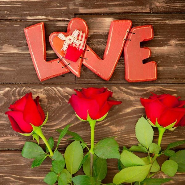 красная роза