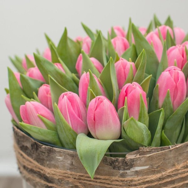 букет с тюльпанами